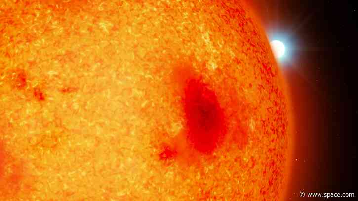 Scientists spot 4 superdense stellar corpses hiding behind their red dwarf companions