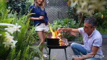 UK households urged to avoid barbecues and bonfires – 'Please do your bit'