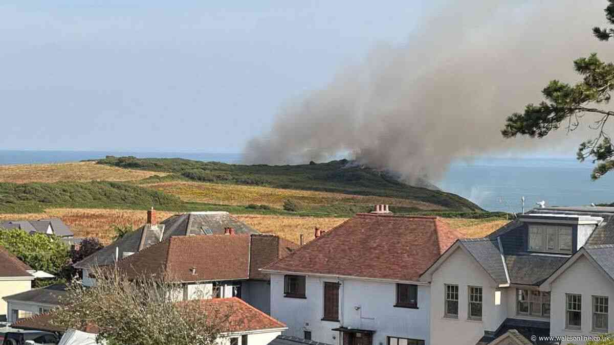 Wildfire breaks out in Mumbles as smoke seen for miles around