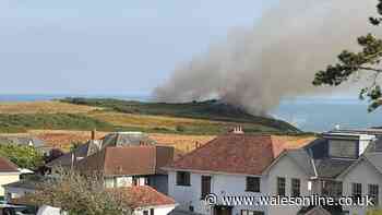 Wildfire breaks out in Mumbles as smoke seen for miles around