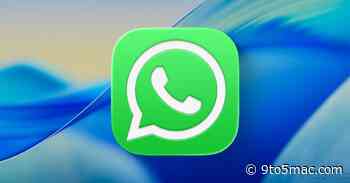 WhatsApp is building its own iCloud alternative for chat backups
