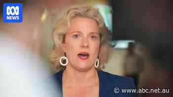 Live: More people will take up smoking if tobacco excise is reduced, minister says