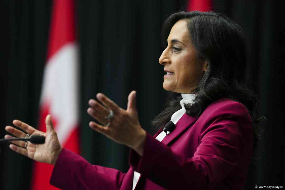 Anand offers Brazil $125M in energy financing, seals wildfire pact amid trade talks