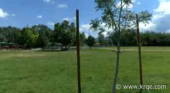 City of Santa Fe working to rebuild tree canopy at Fort Marcy Complex