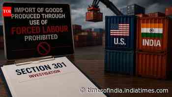 India moves to block imports linked to forced labour amid USTR probe