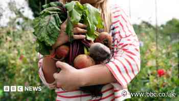 Call for right to grow food on unused public land
