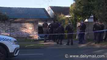 Man shot dead in car during Carlingford, Sydney, morning rush hour - as police hunt killer