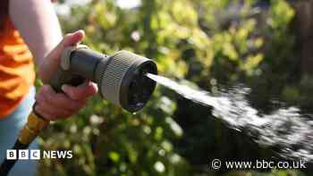Why did one water company not impose a hosepipe ban?