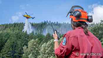Forecast heat, lightning and ongoing drought raise risk of 'significant wildfire event' in B.C.