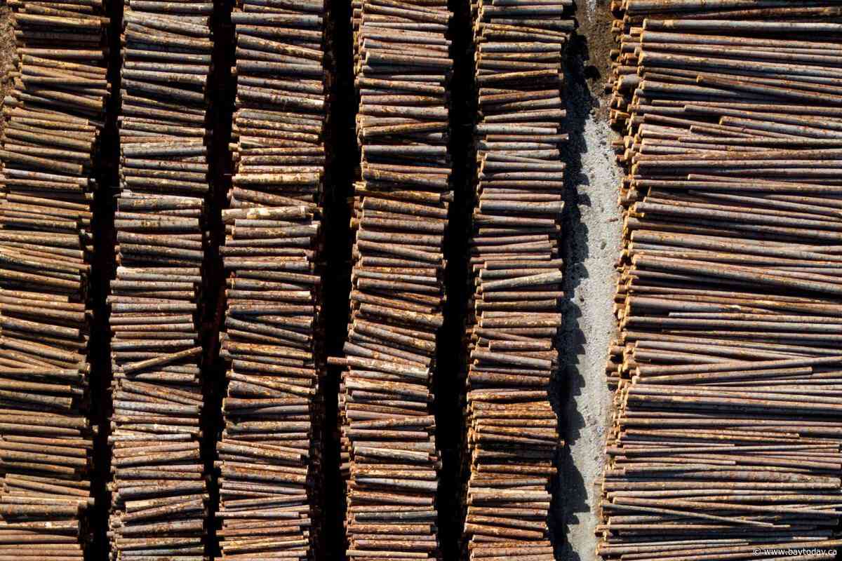 CP NewsAlert: 300 jobs lost as Canfor closes B.C. pulp mill