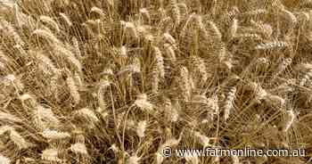War risk is back on the menu, but will local growers see the benefits?
