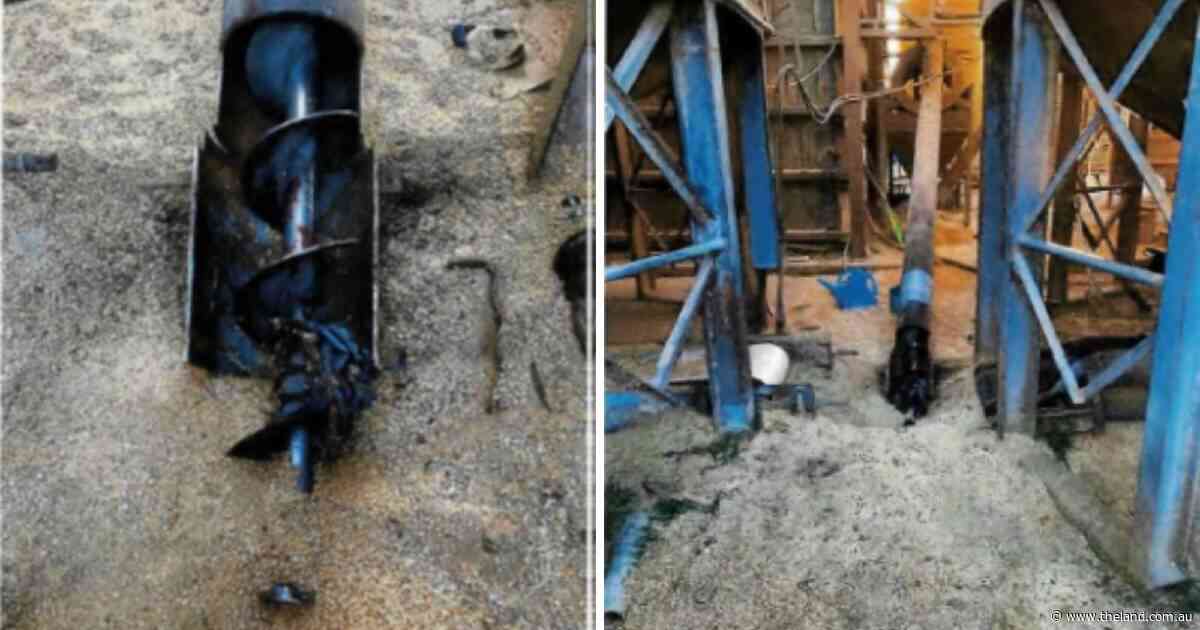 'Fundamental' safety failure led to teen's foot being degloved in farm incident