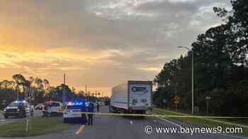 Man fleeing immigration officers in Florida is struck and killed by tractor trailer, police say