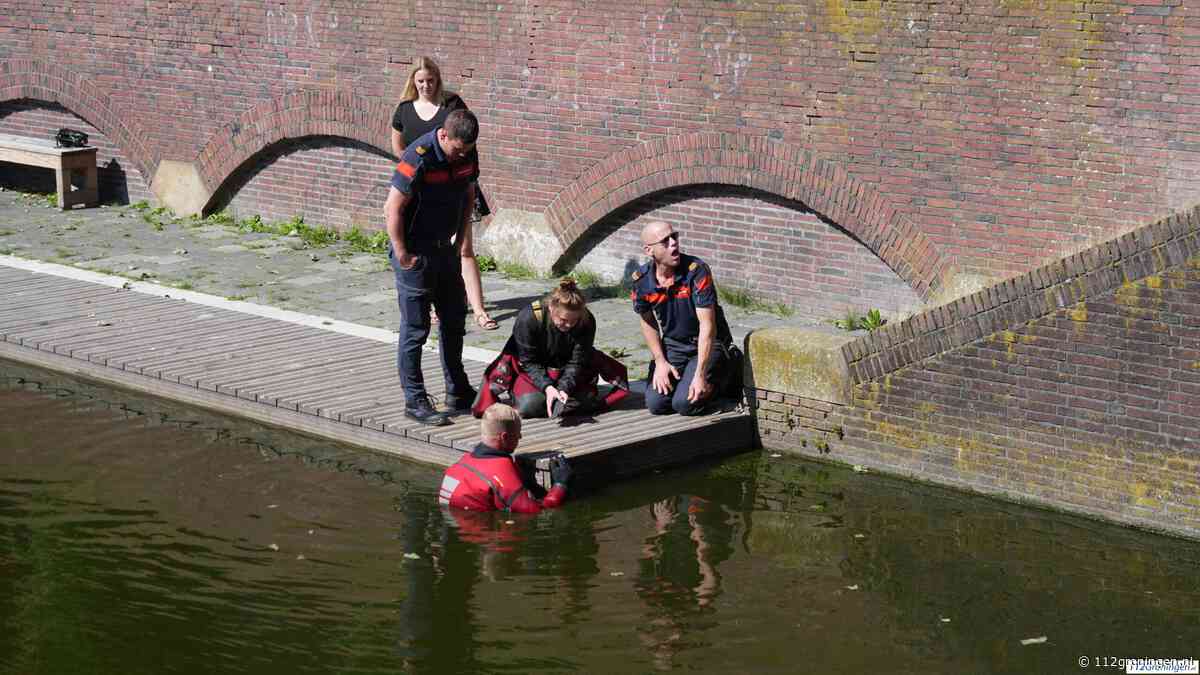 Kuiken van meerkoet vast onder steiger