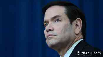 Rubio to host diplomacy meeting 'critical to advancing' US economy