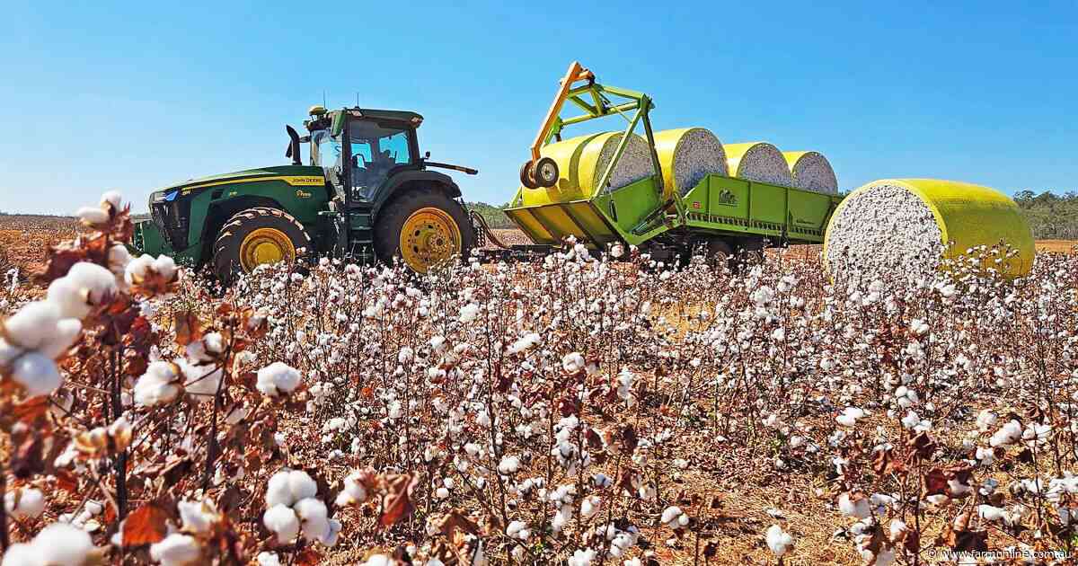 Cattle station at heart of the NT's cotton future back on the sales market