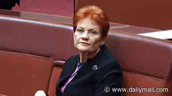 Pauline Hanson's One Nation unveils plan for American-style fixed five per cent mortgages for 30 years - all paid for by the government