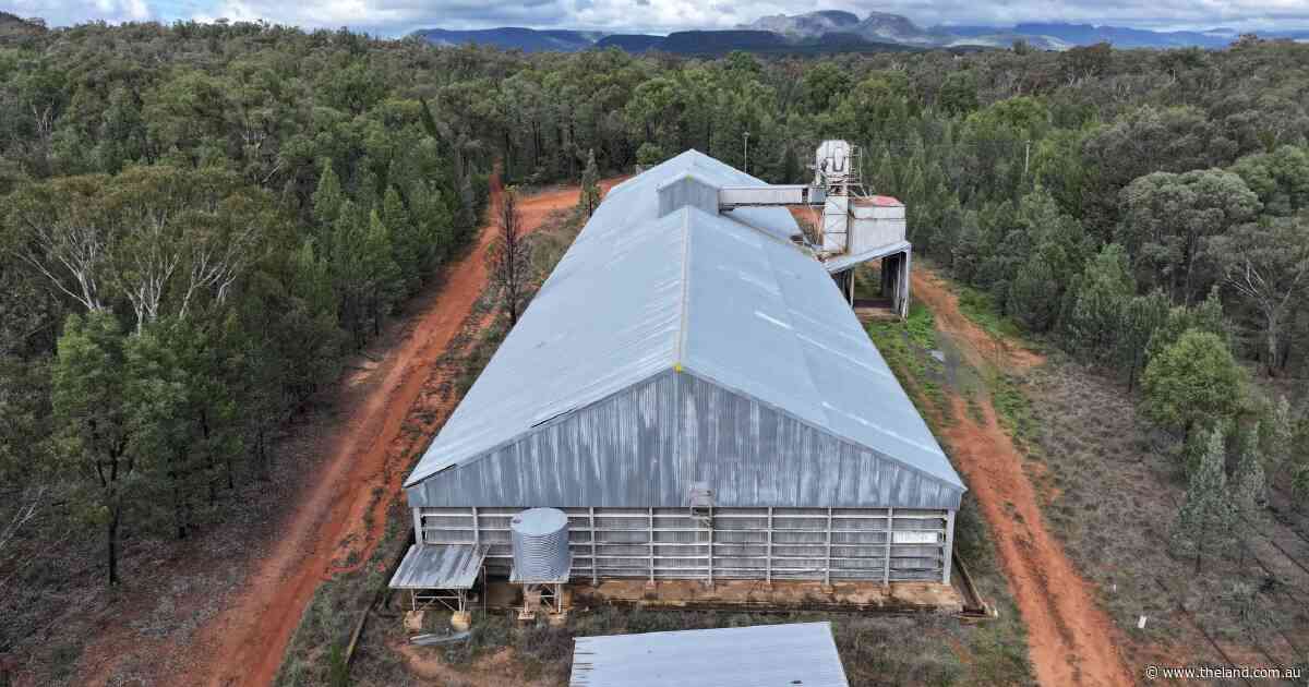 GrainCorp's NSW silo sell-off delivers large-scale opportunities