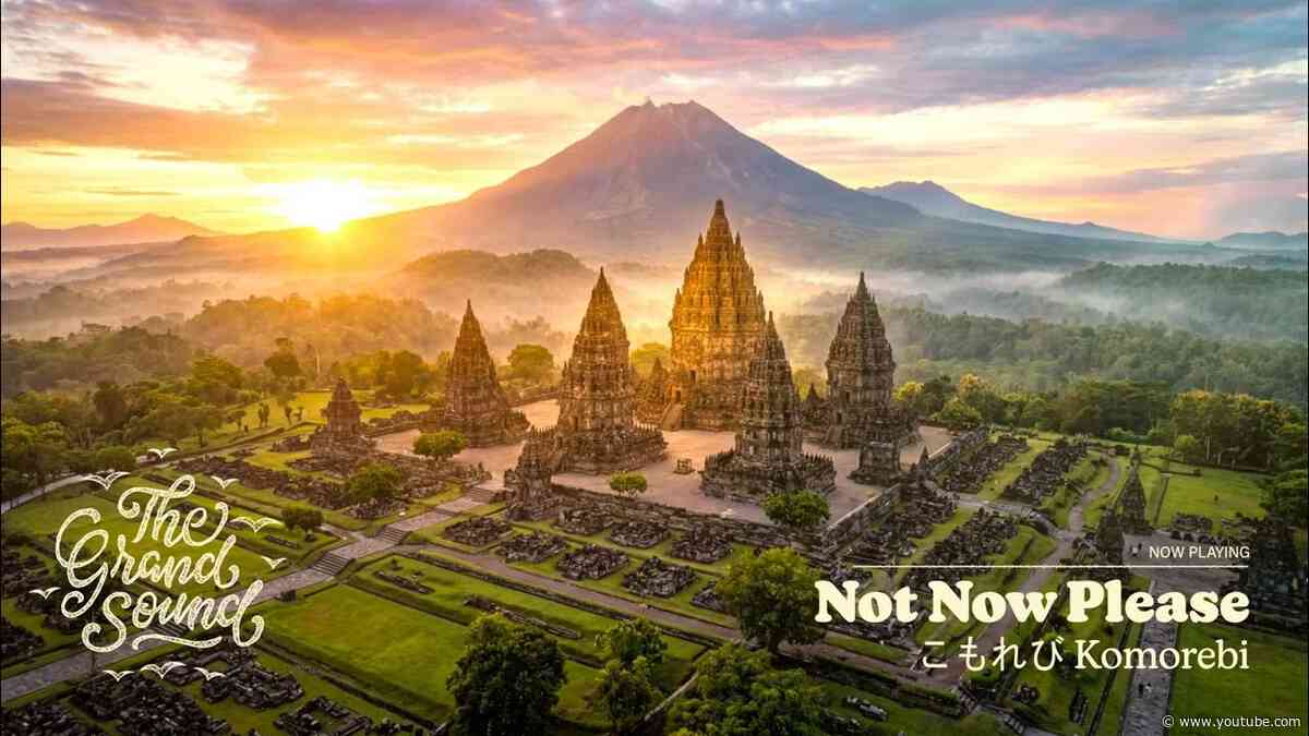 Not Now Please - こもれび Komorebi