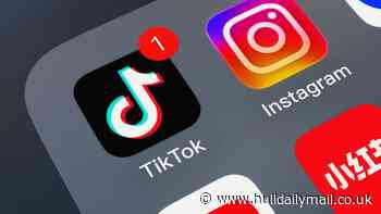 Humberside Police record hundreds of Tik Tok-linked crimes