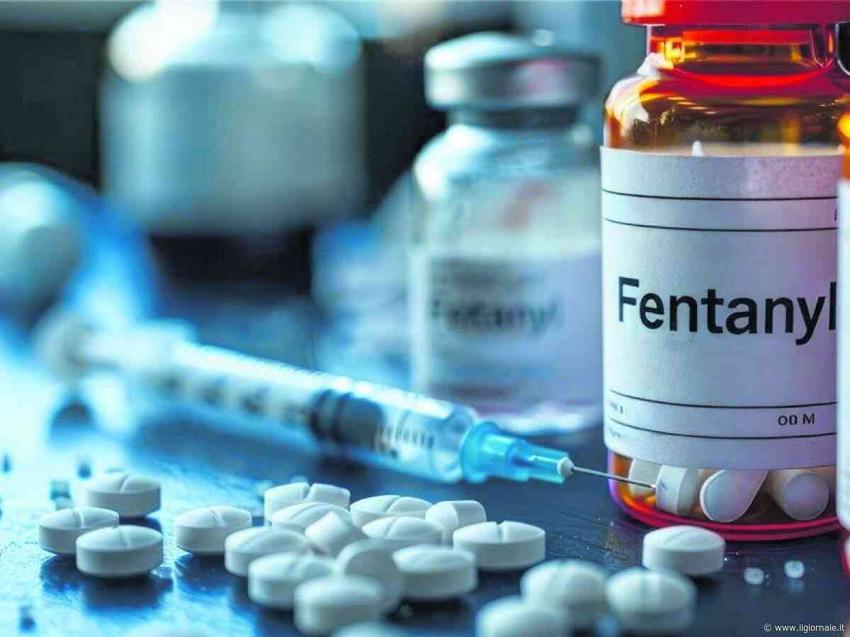 Il fentanyl e la rete cinese del cartello di Sinaloa: chi è “Brother Wang”, il regista del traffico che colpisce gli Usa