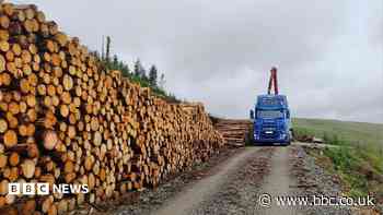 Timber transport funds to upgrade 'fragile rural roads'