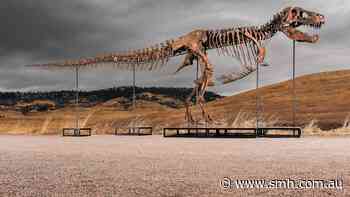 T. Rex sets record at Sotheby’s auction