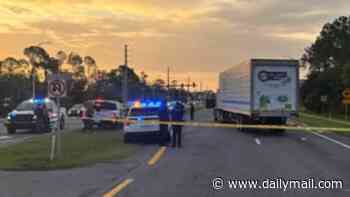Man hit by truck and killed while attempting to flee ICE agents in Florida