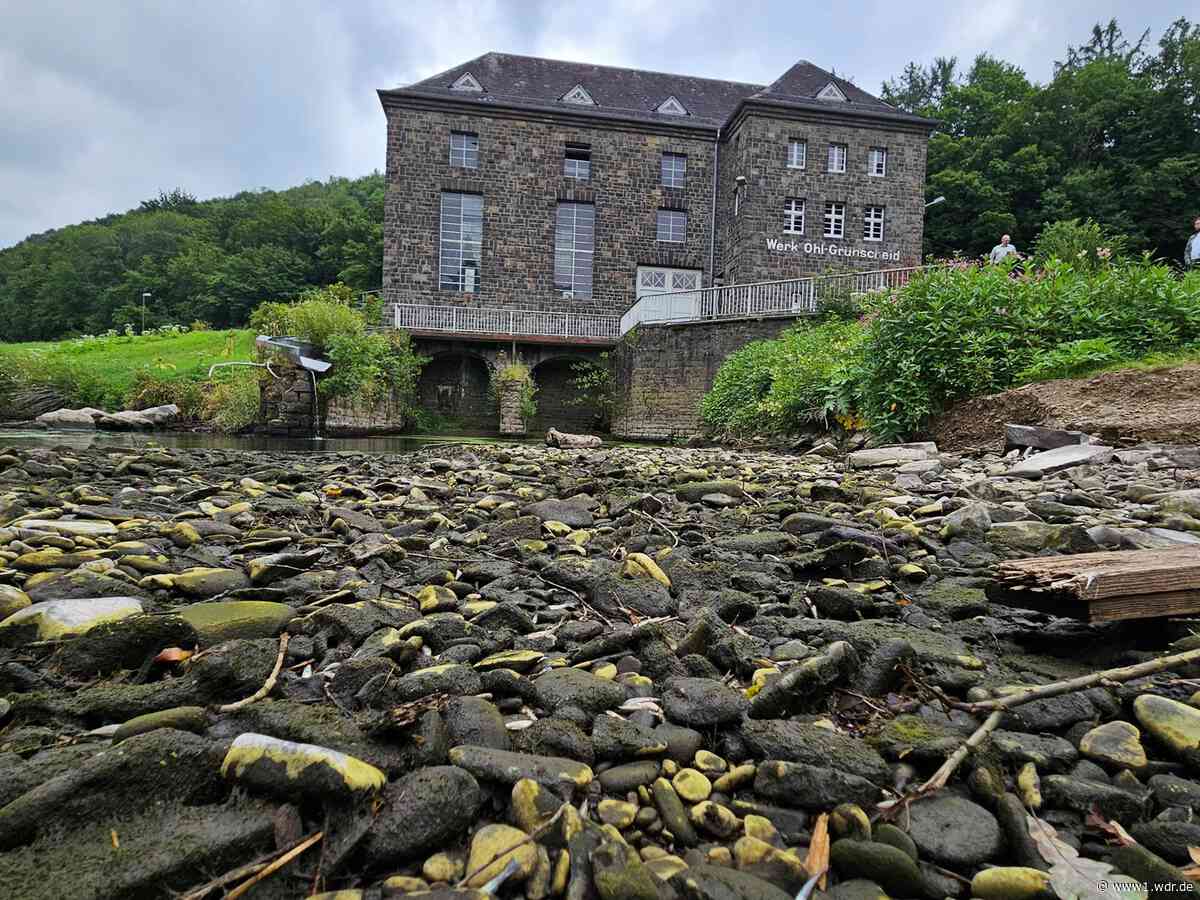 Nach Fischsterben: Weiter hohes Risiko in der Agger
