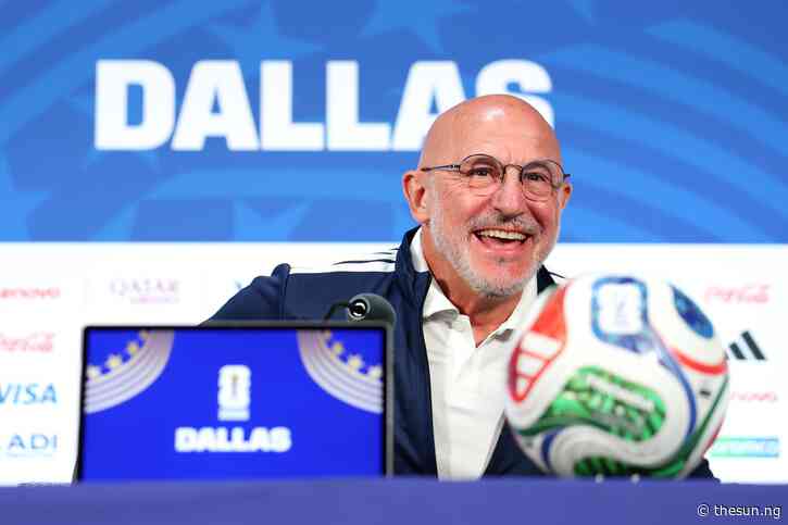 World Cup: De la Fuente hails Spain as world’s best after reaching final