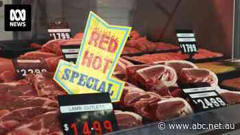 Australian lamb the focus of US trade commission review