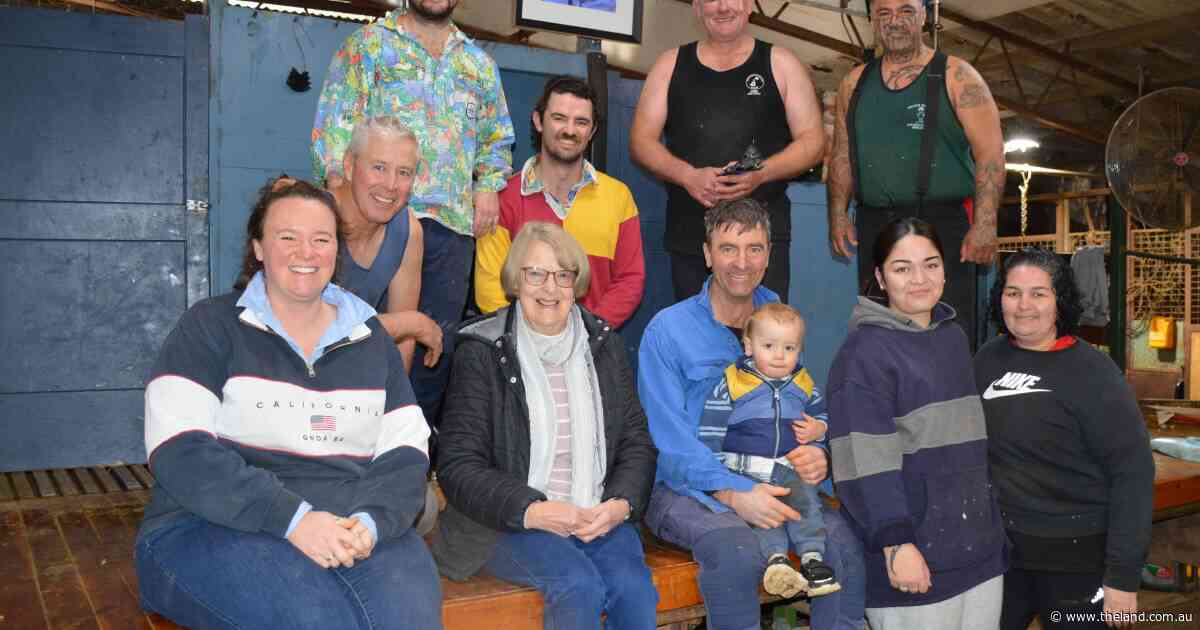 Shear charity: day of crutching raises funds to boost local cancer support