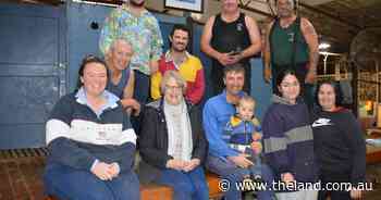 Shear charity: day of crutching raises funds to boost local cancer support