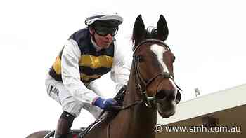 McEvoy hopes working holiday pays dividends in Grafton Cup