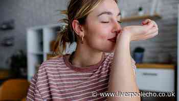 Healthcare staff say this £18 'light' perfume lasts throughout their whole shift
