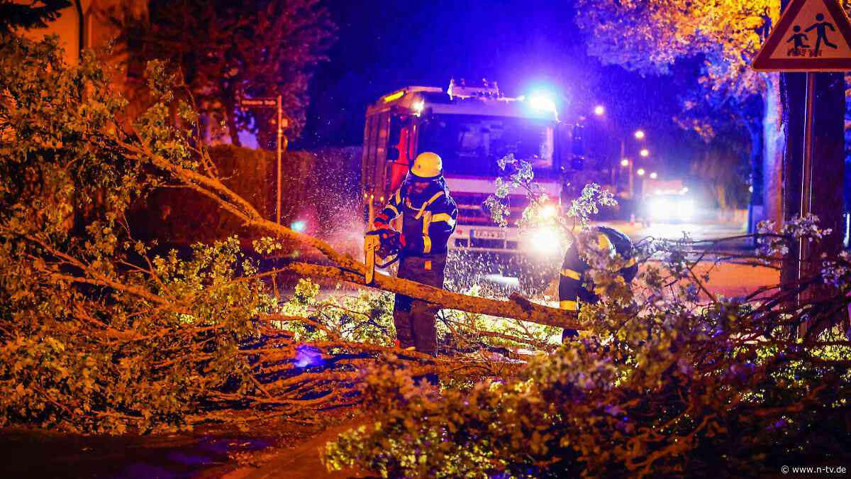 Menschen von Bäumen eingeklemmt: Unwetter sorgen für rund 1000 Feuerwehreinsätze bei Nürnberg