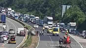 Driver in hospital with serious injuries after air ambulance lands on M4