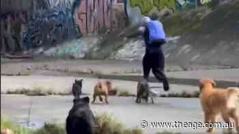 Police issue image of would-be assaulter chased away by dogs