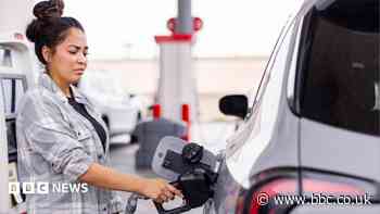 Gas prices drive down US inflation - but will it last?