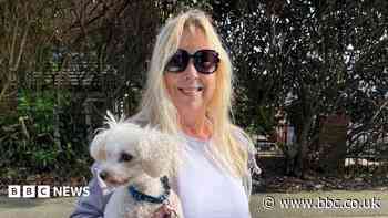 Owner calls for law change after dog killed in attack