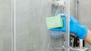 Limescale will disappear from shower glass when sprayed with 1 'very effective' item in July