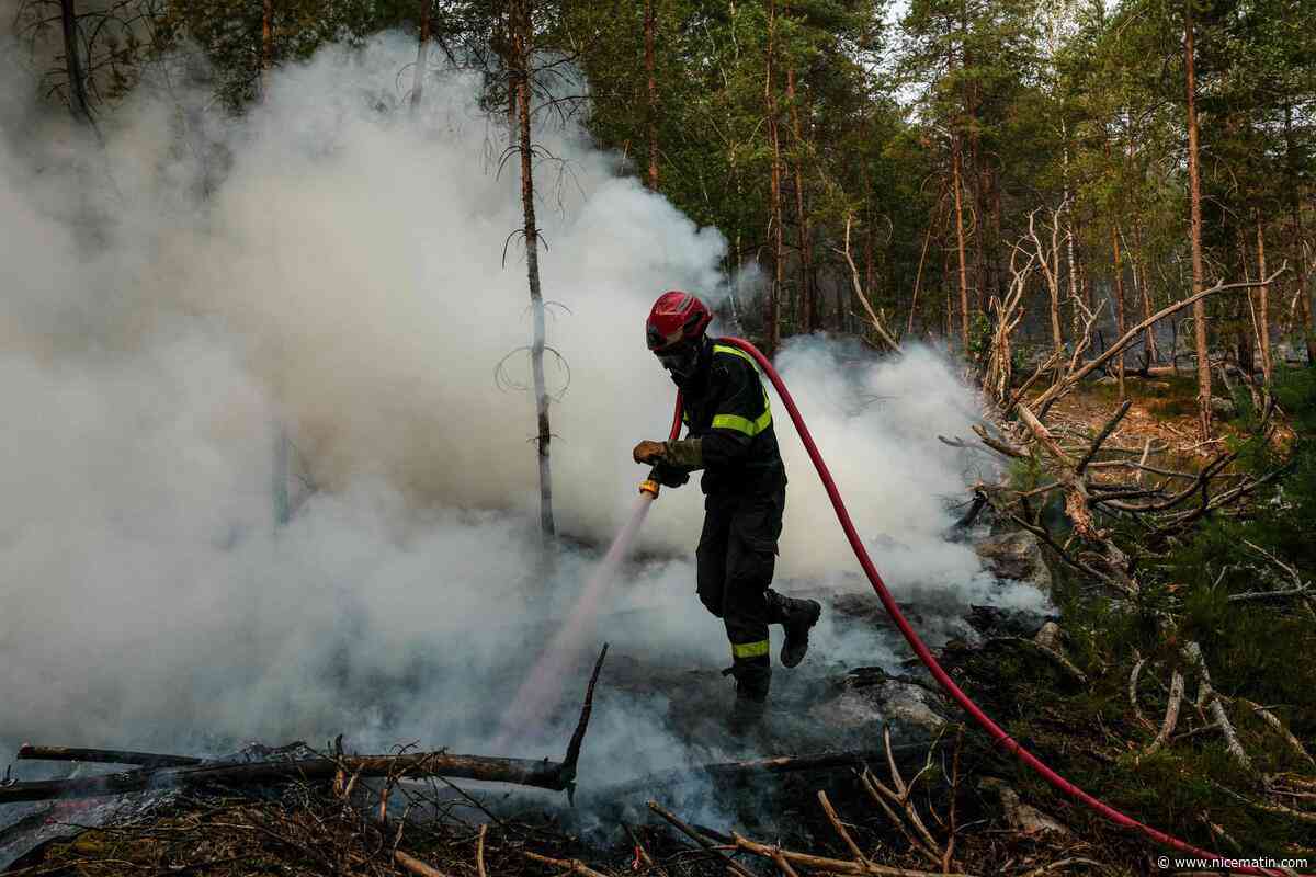 Plus de 2.000 hectares parcourus, quatre personnes placées en garde à vue : les feux de Fontainebleau sont fixés