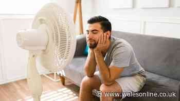 Seven physics-backed tips to keep your home turning into an oven in heatwave