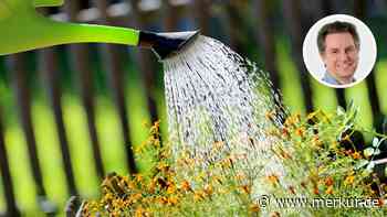 Spitzel-Alarm am Gartenzaun! Kommentar zu den neuen Wasser-Regeln in München