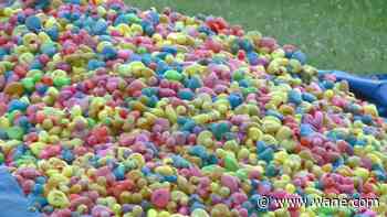 There's still time to enter your duck in the Iris Duck Race