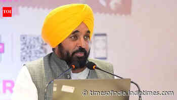 Punjab's textile sector has immense potential, says CM Bhagwant Mann at Bharat Tex 2026