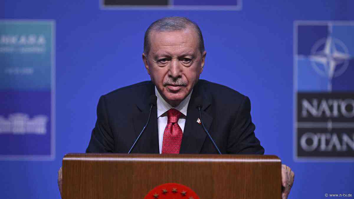 Erst populär, dann angeklagt: Wie Erdoğan sich seit dem Putschversuch eine Opposition gebastelt hat