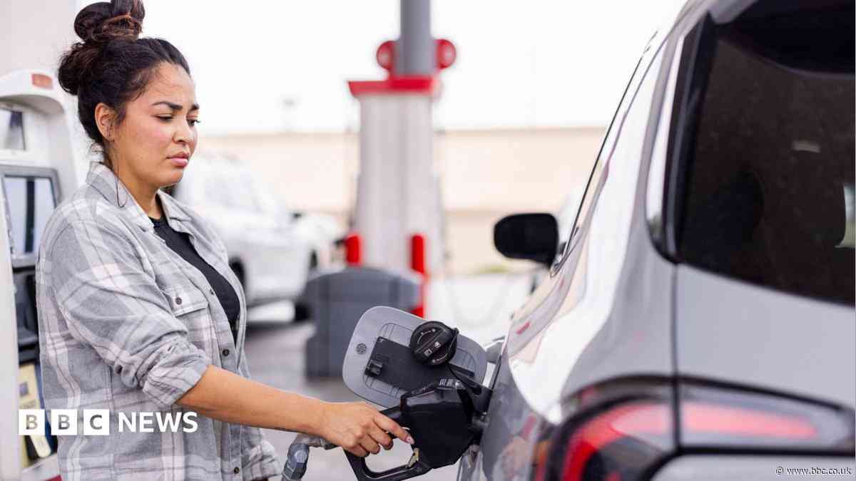 Gas prices drive down US inflation - but will it last?