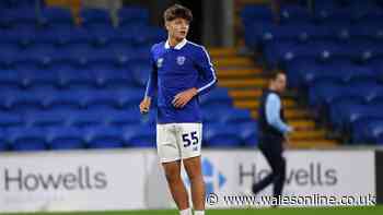 Cardiff City batter Irish opponents as fans convinced teen star is real deal