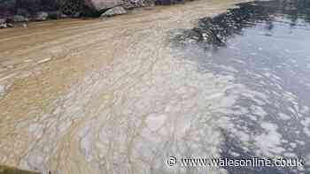 Part of Welsh river turns brown prompting investigation